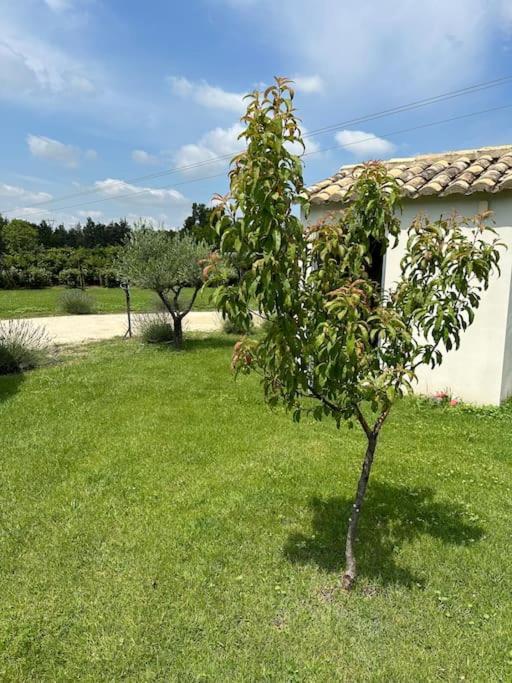 Villa Des Jacinthes Tarascon Extérieur photo